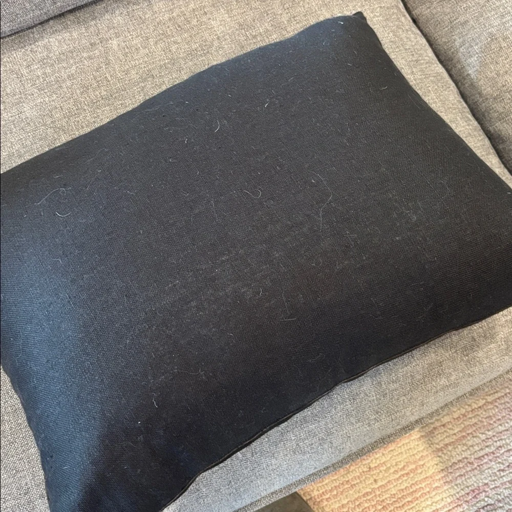 Restoration Hardware 18x24 Pillow with Down Insert
